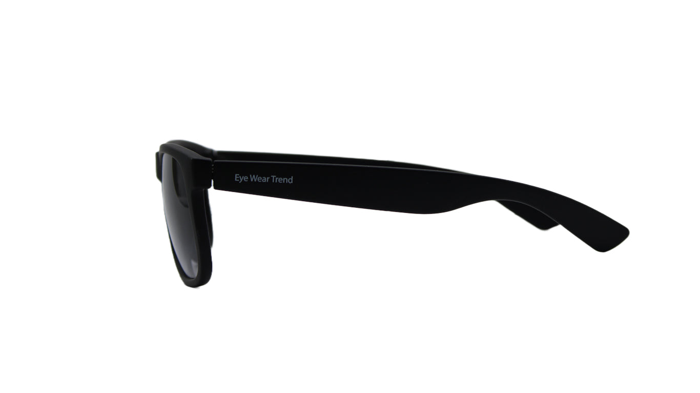 fashion sunglass -0029