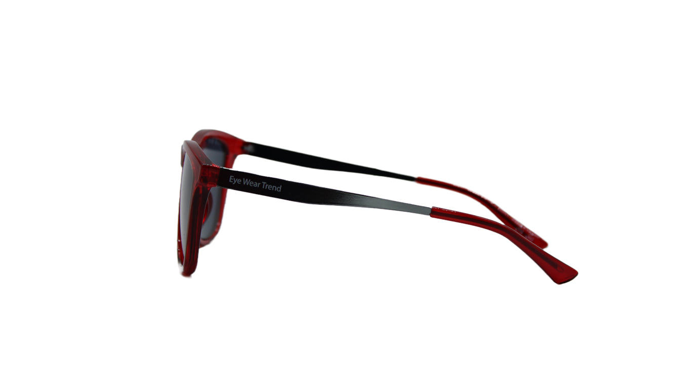 fashion sunglass -0052