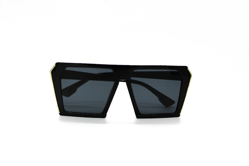 fashion sunglass -013