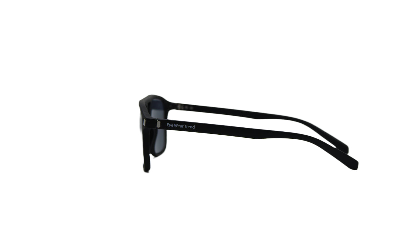 fashion sunglass -0053